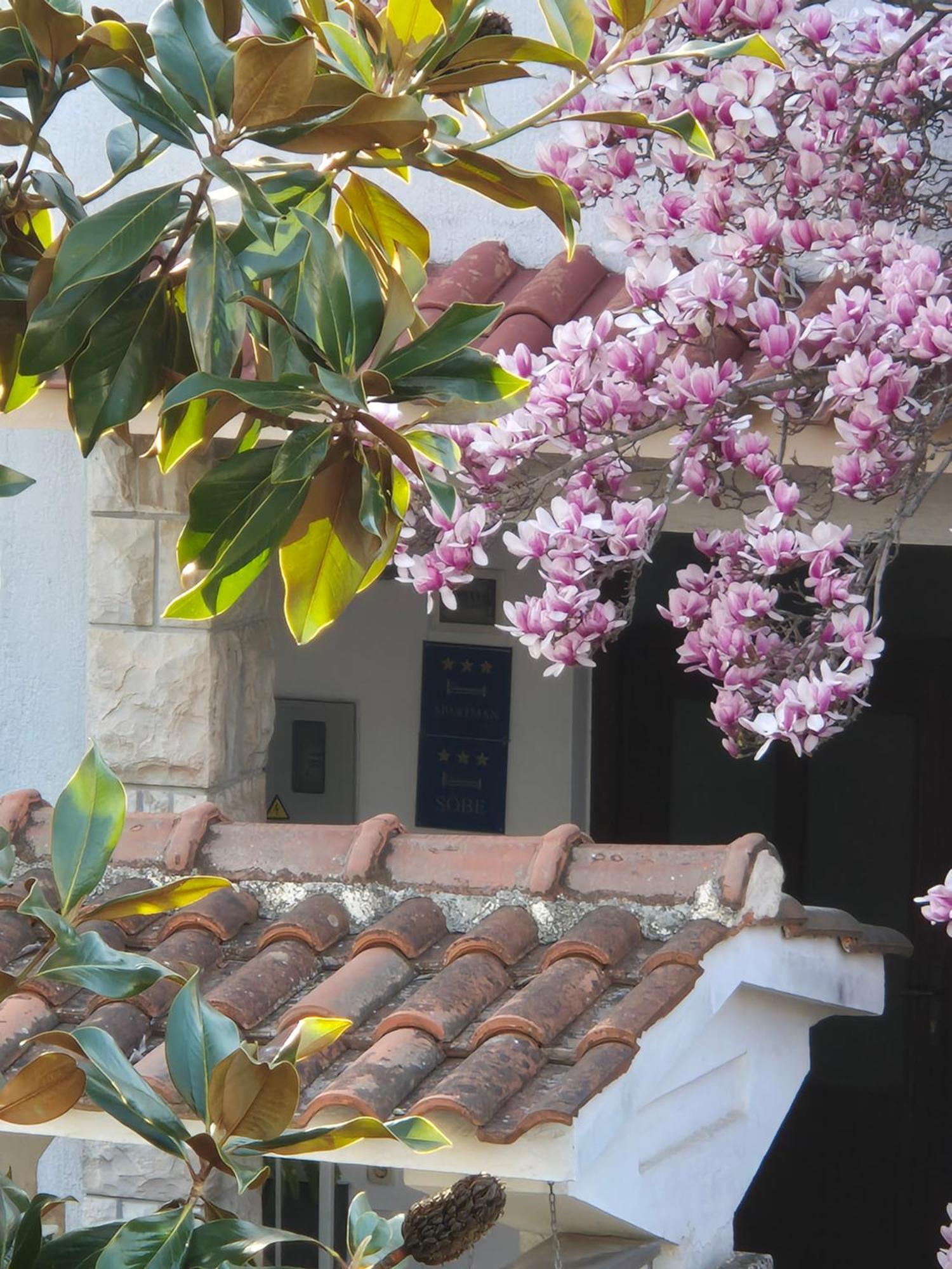 Apartments Villa Martinuzzi ロヴィニ エクステリア 写真