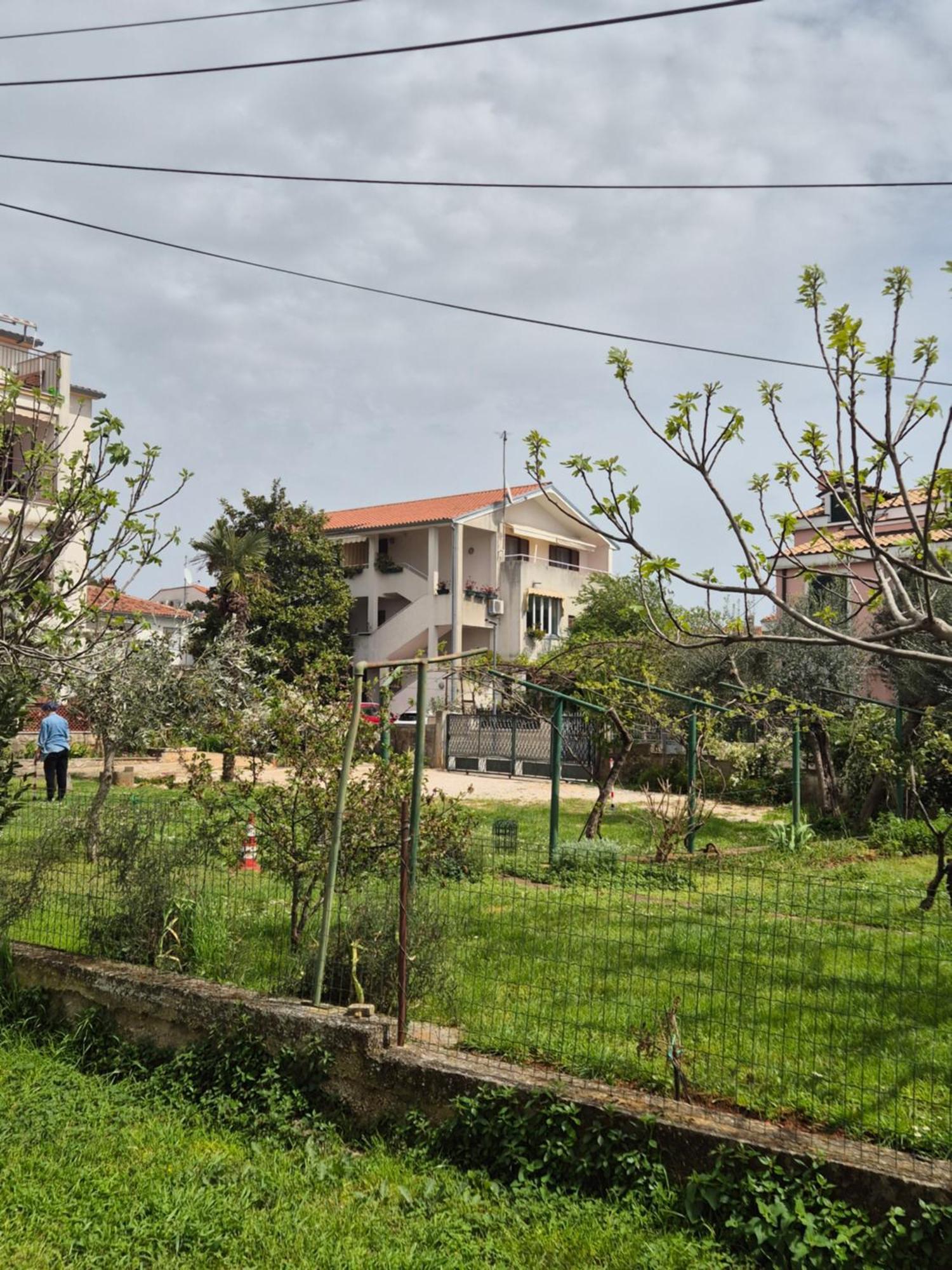 Apartments Villa Martinuzzi ロヴィニ エクステリア 写真